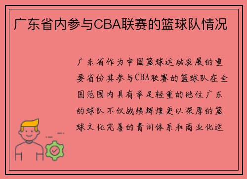 广东省内参与CBA联赛的篮球队情况